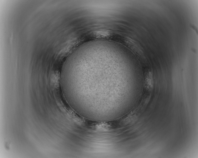 X0000101970468200807251215