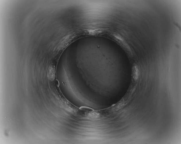 X0000101970471200807251215