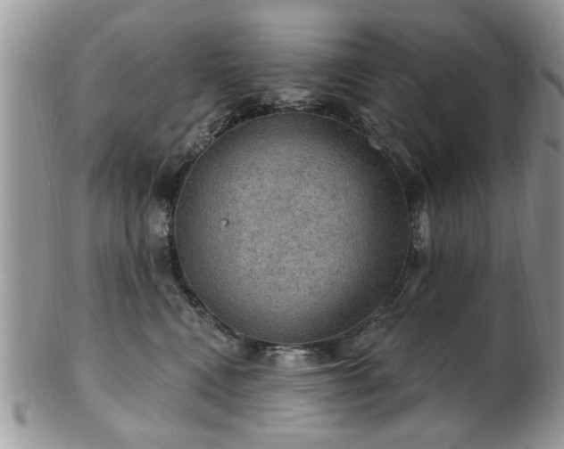 X0000101970472200807251215