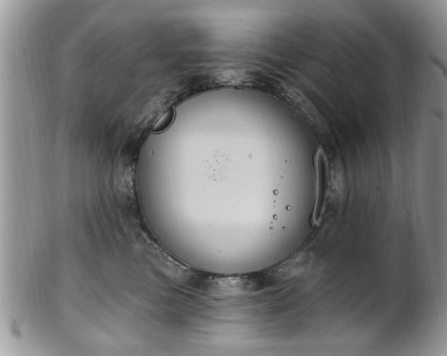 X0000101970473200807251215