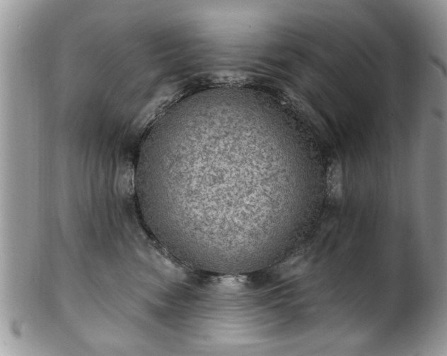 X0000101970474200807251215