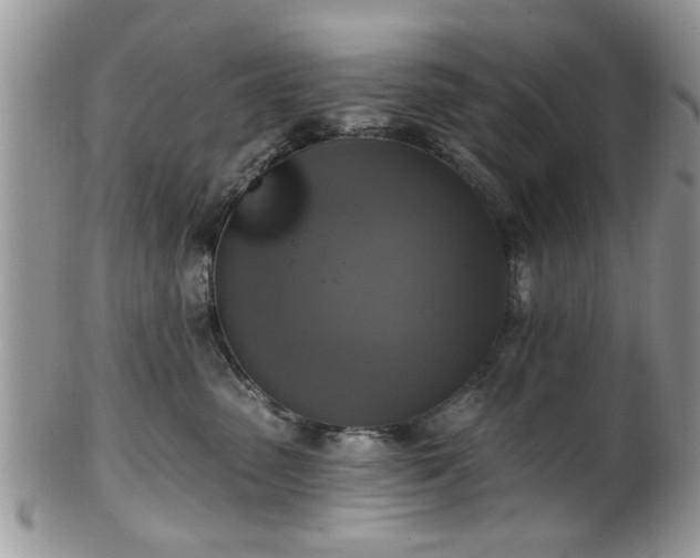X0000101970475200807251215