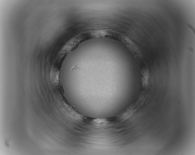 X0000101970477200807251215