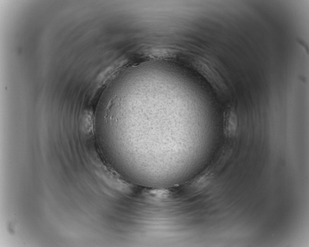 X0000101970478200807251215