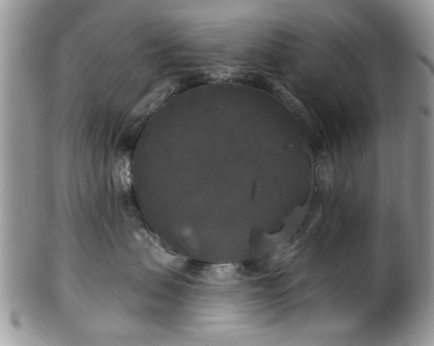 X0000101970479200807251215