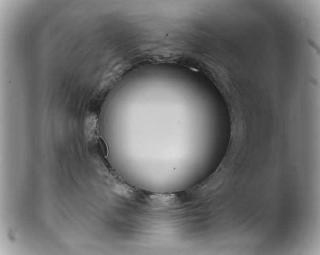 X0000101970480200807251215