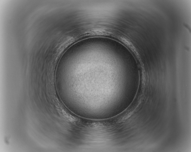 X0000101970481200807251214
