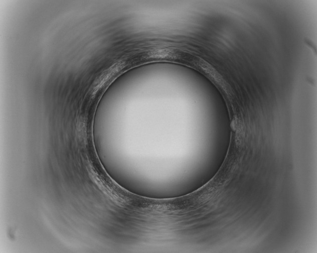 X0000101970482200807251214