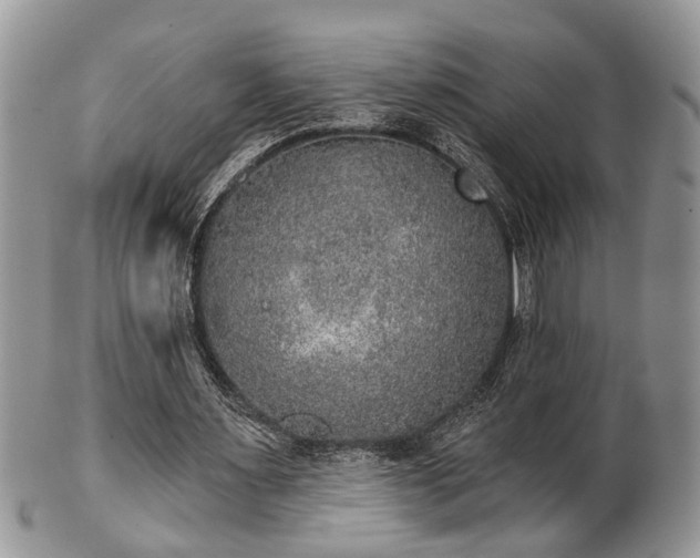 X0000101970483200807251214