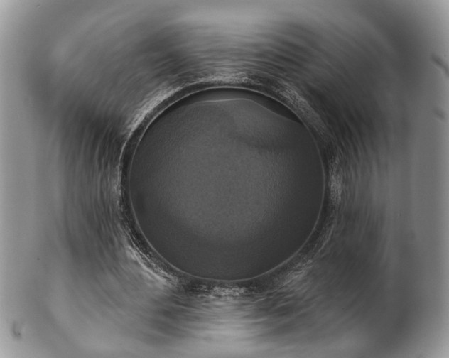 X0000101970484200807251214