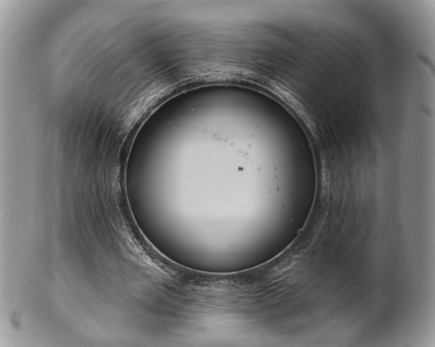 X0000101970485200807251214