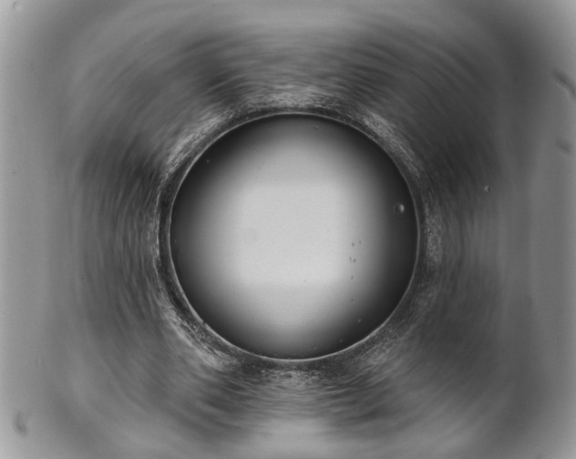 X0000101970486200807251214