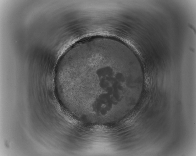 X0000101970487200807251214