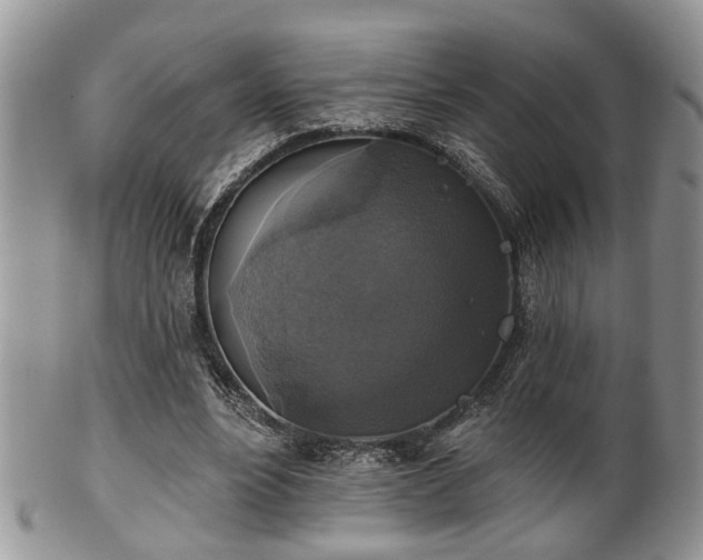 X0000101970488200807251214