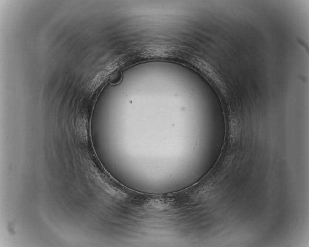 X0000101970489200807251214