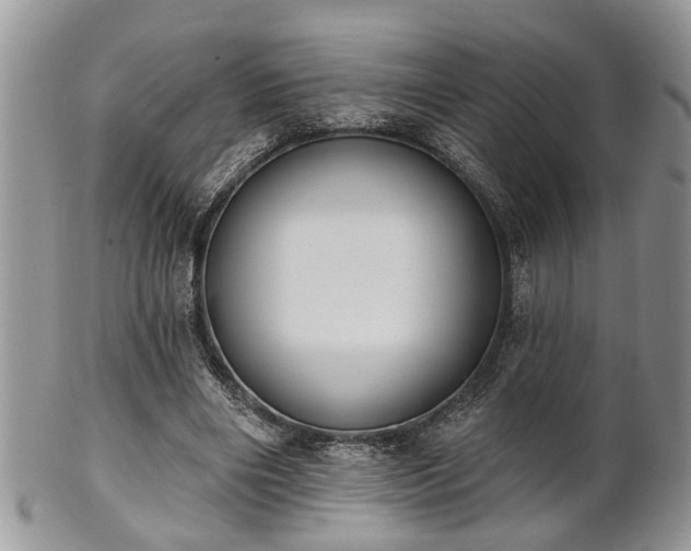 X0000101970490200807251214