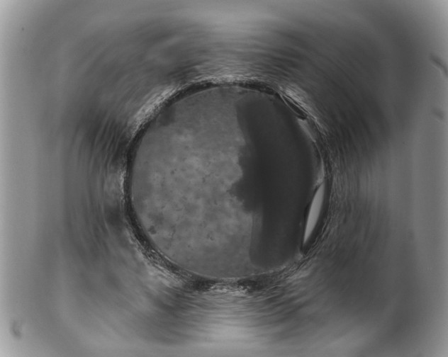 X0000101970491200807251214