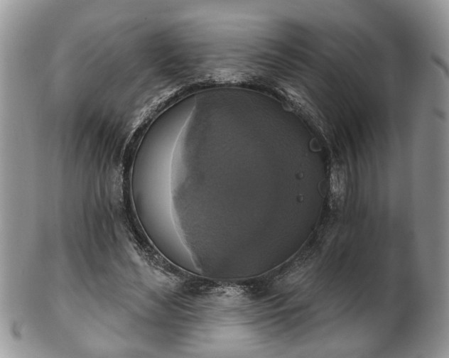 X0000101970492200807251214