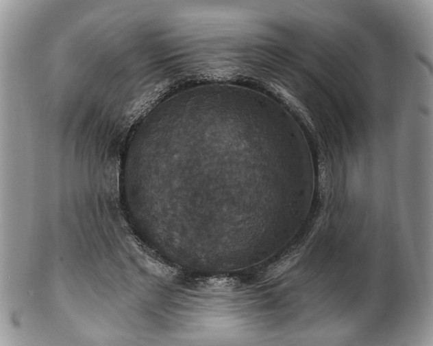 X0000101970493200807251214