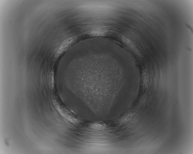 X0000101970494200807251214