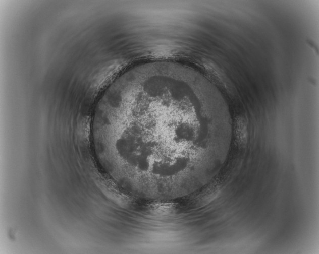 X0000101970495200807251214