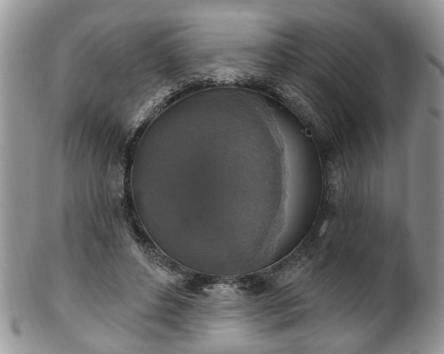 X0000101970496200807251214