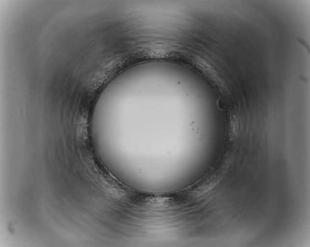 X0000101970497200807251214