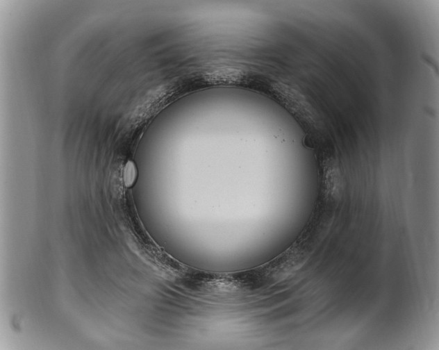 X0000101970498200807251214