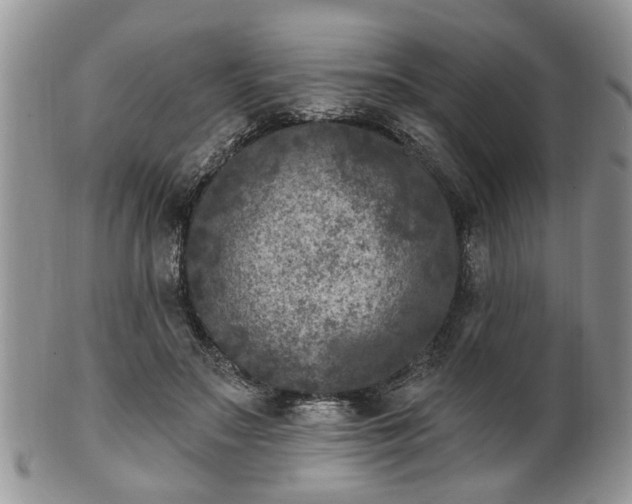 X0000101970499200807251214