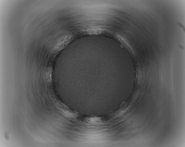 X0000101970501200807251214