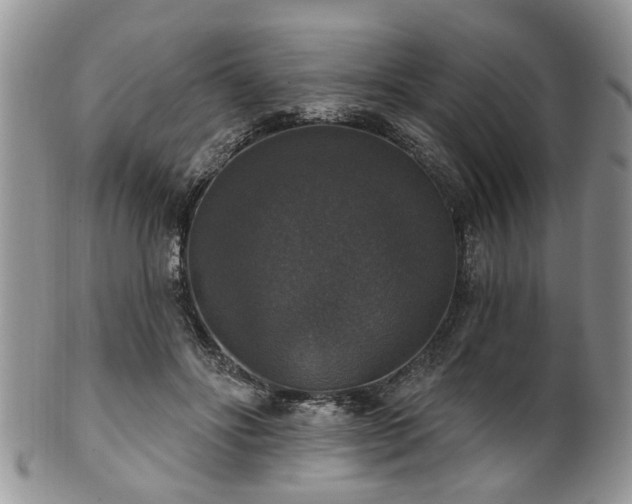 X0000101970502200807251214