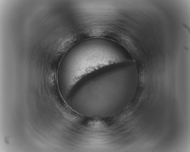 X0000101970503200807251214