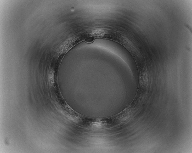 X0000101970504200807251214