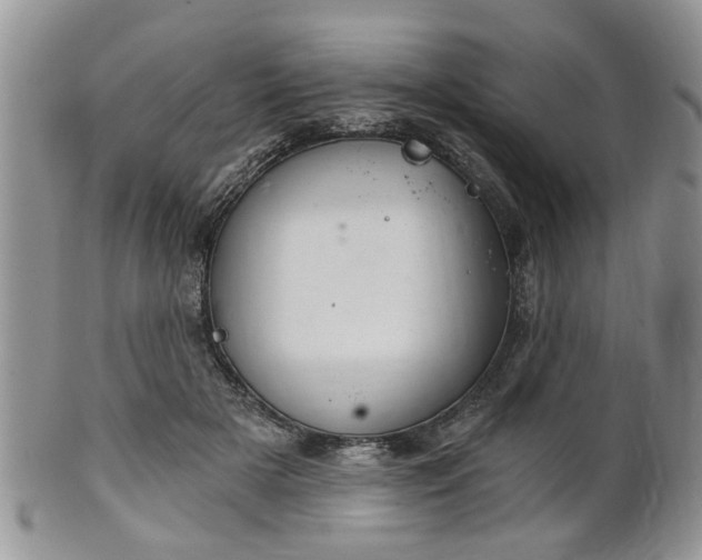 X0000101970505200807251214