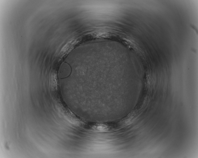 X0000101970506200807251214