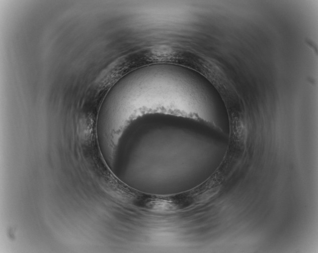 X0000101970507200807251214