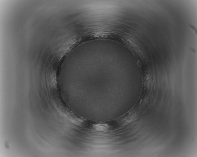 X0000101970508200807251214