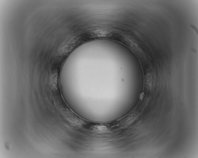 X0000101970509200807251214
