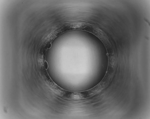 X0000101970510200807251214