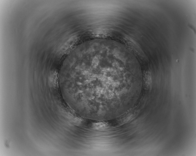 X0000101970511200807251214