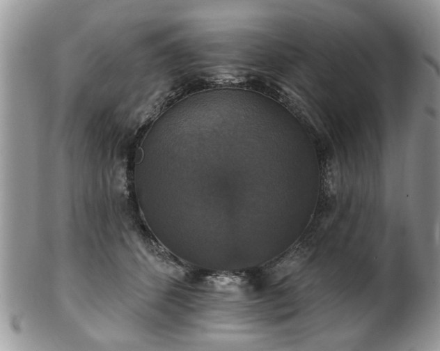 X0000101970512200807251214