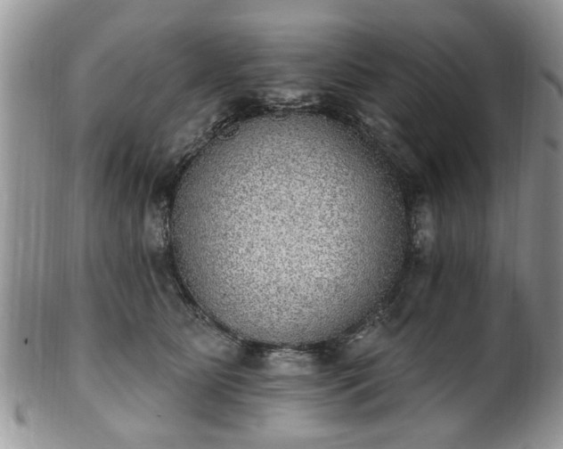 X0000101970515200807251214