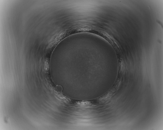 X0000101970517200807251214