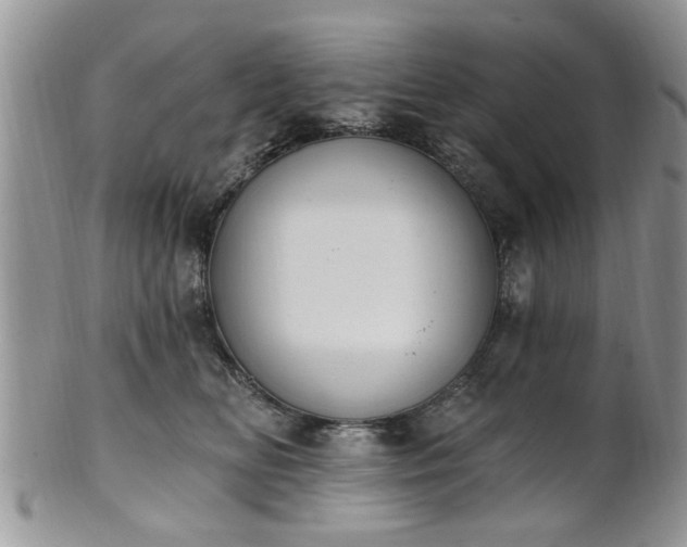 X0000101970518200807251214