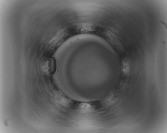 X0000101970519200807251214