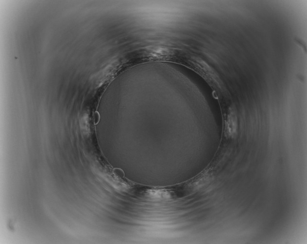 X0000101970520200807251214