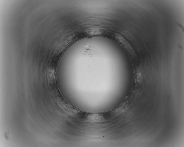 X0000101970521200807251214