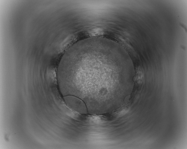 X0000101970523200807251214