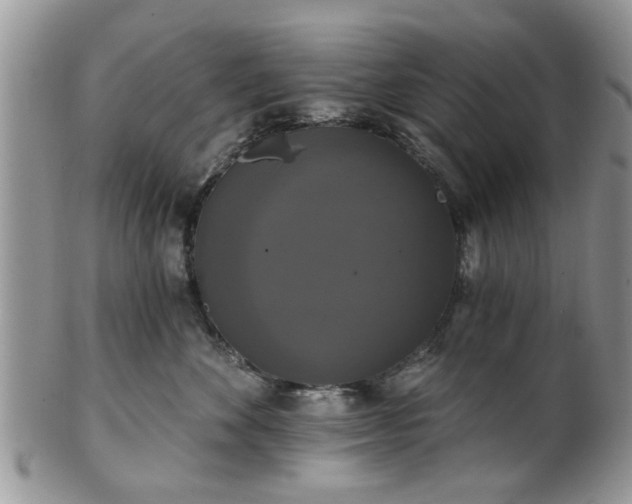 X0000101970524200807251214