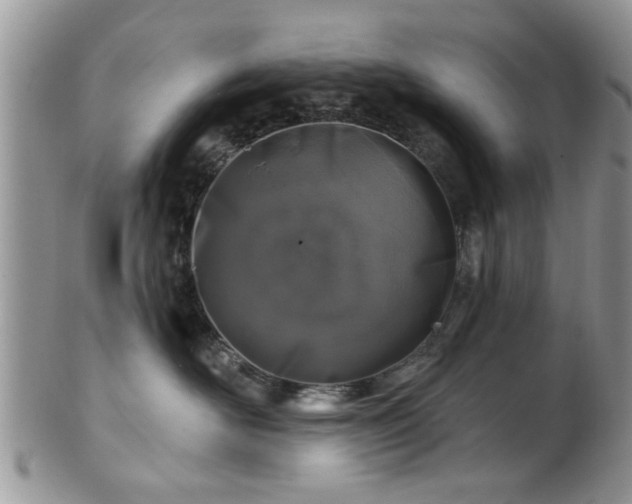 X0000101970526200807251214
